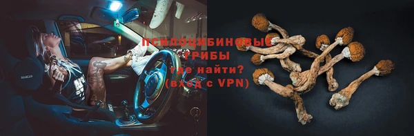 герыч Семилуки