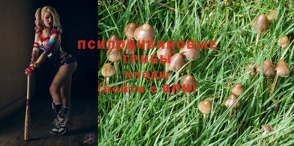 соль курить ск Богданович